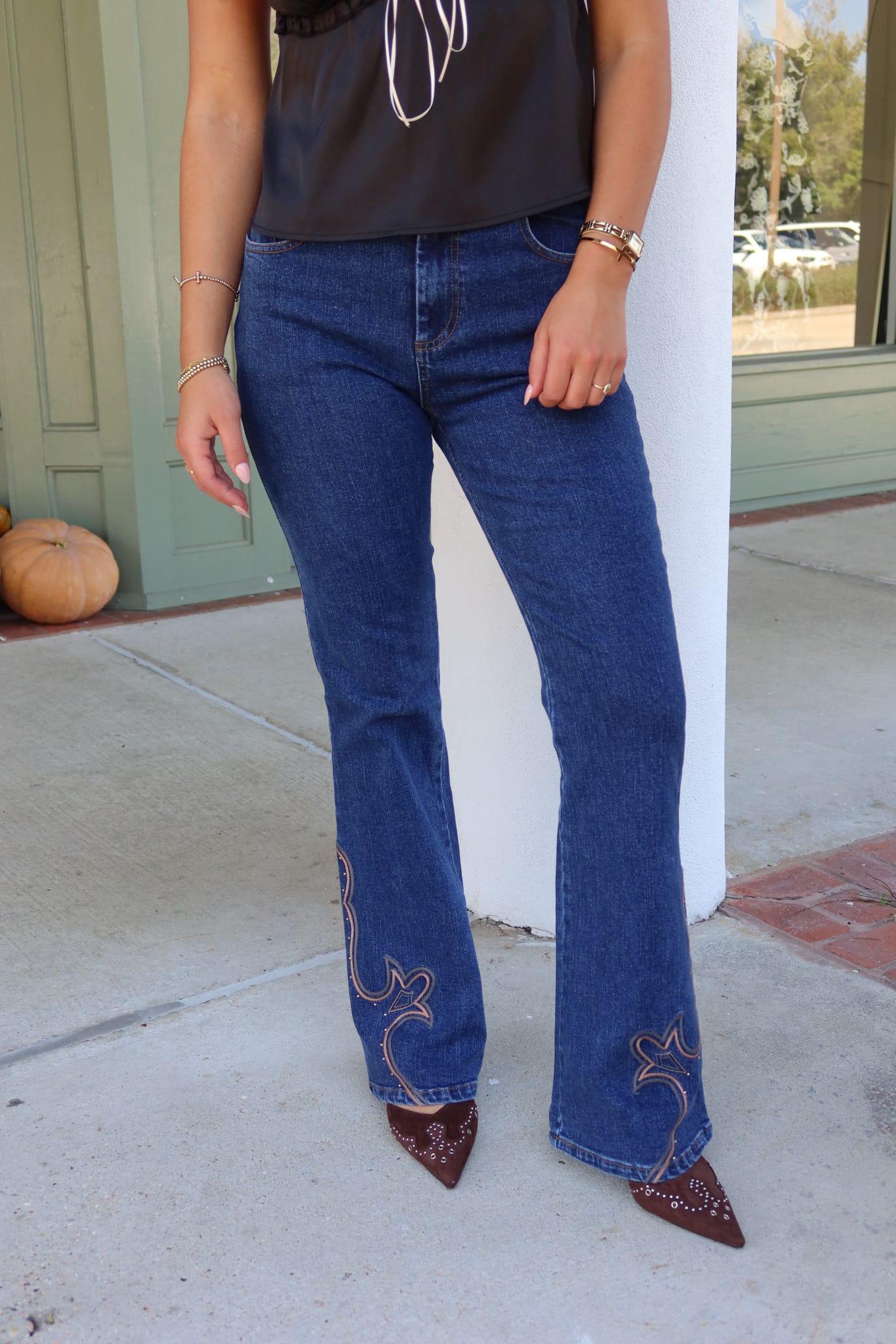 Western Embroidered Jeans